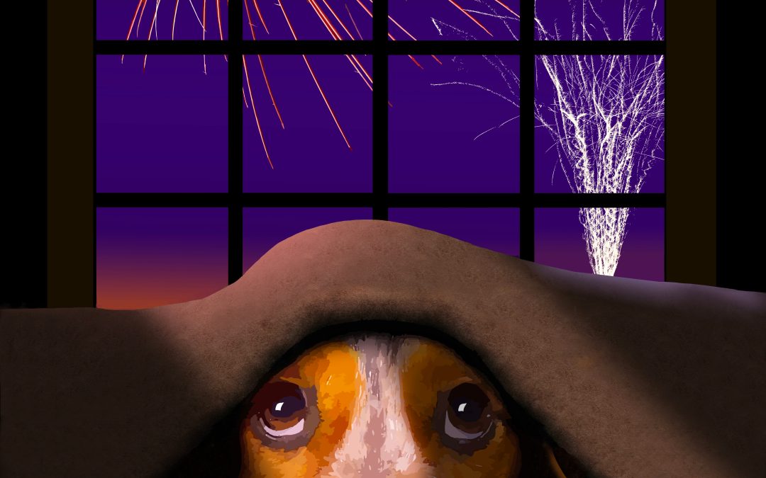 Honden en vuurwerk