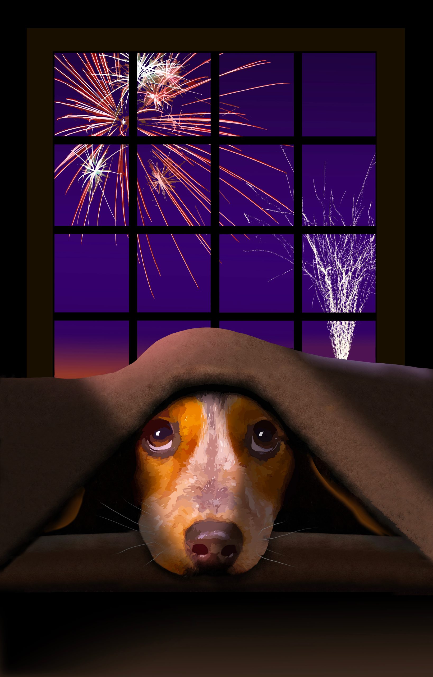 Honden en vuurwerk